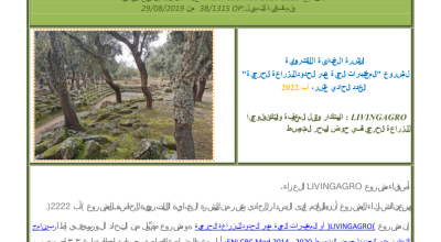 Edition n.11 August 2022