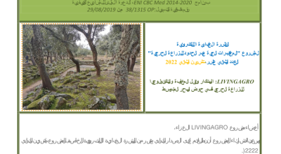 Edition n.12 November 2022